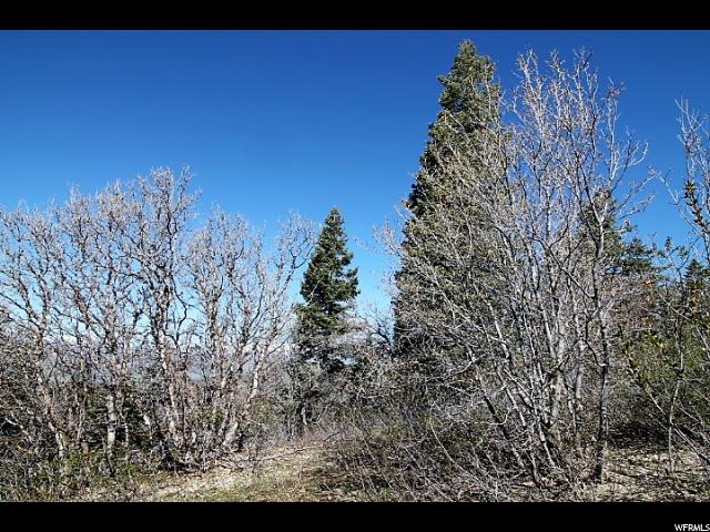 14025 E THADS PEAK DR, Fairview, UT 84629