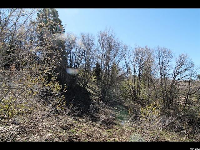 14025 E THADS PEAK DR, Fairview, UT 84629