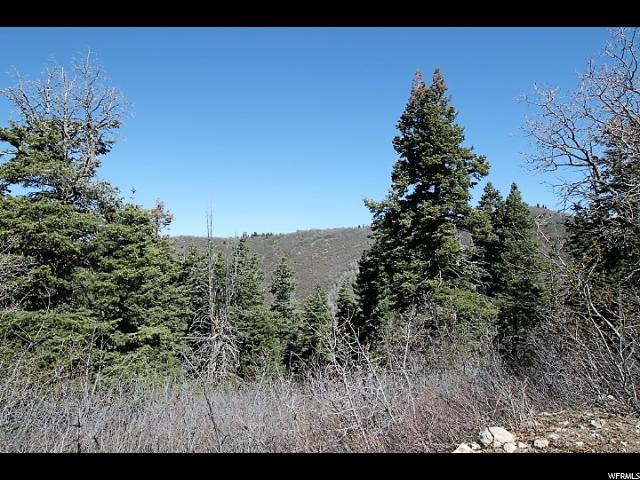 14025 E THADS PEAK DR, Fairview, UT 84629