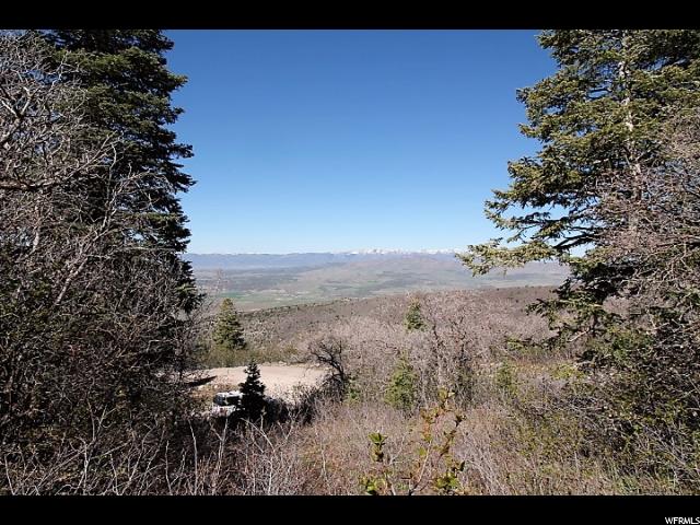 14025 E THADS PEAK DR, Fairview, UT 84629