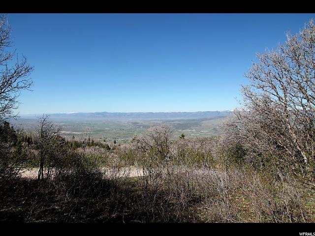 14025 E THADS PEAK DR, Fairview, UT 84629