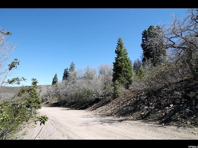 14025 E THADS PEAK DR, Fairview, UT 84629