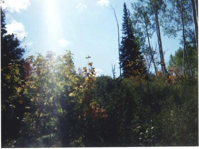 88, Fairview, UT 84629