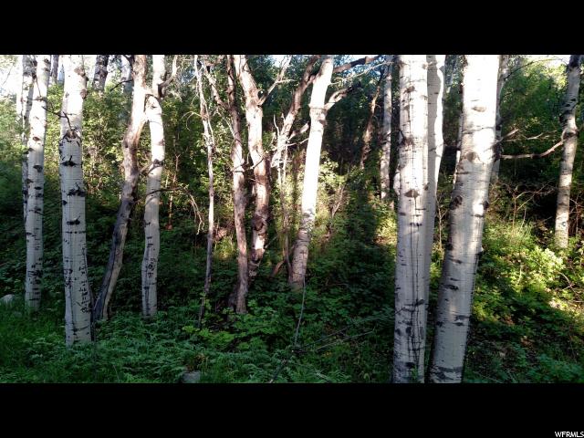 22759 N ARCHIES HIDE AWAY, Fairview, UT 84629