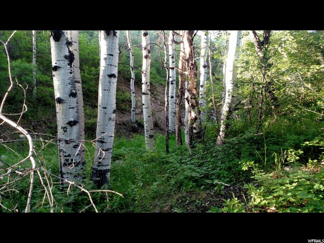 22759 N ARCHIES HIDE AWAY, Fairview, UT 84629
