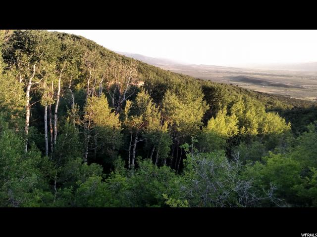 22759 N ARCHIES HIDE AWAY, Fairview, UT 84629