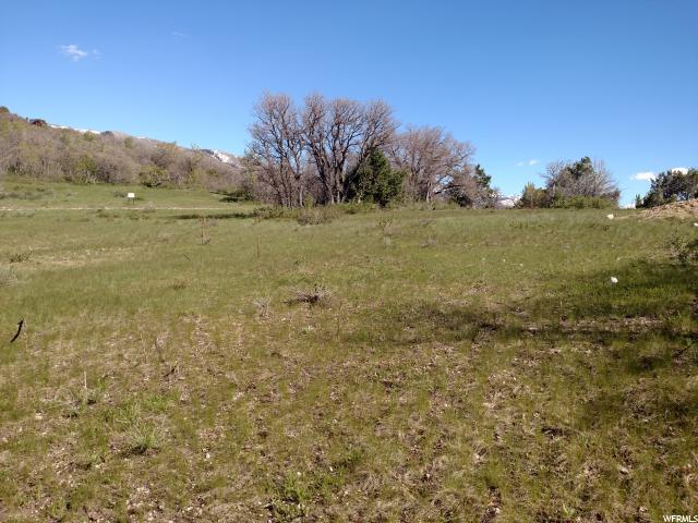 Fairview, UT 84629