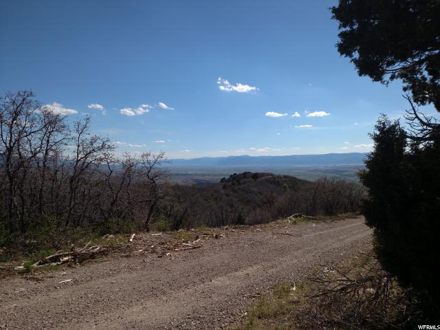 13691 E RED FOX WAY CIR N, Fairview, UT 84629