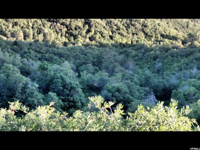 13691 E RED FOX WAY CIR N, Fairview, UT 84629