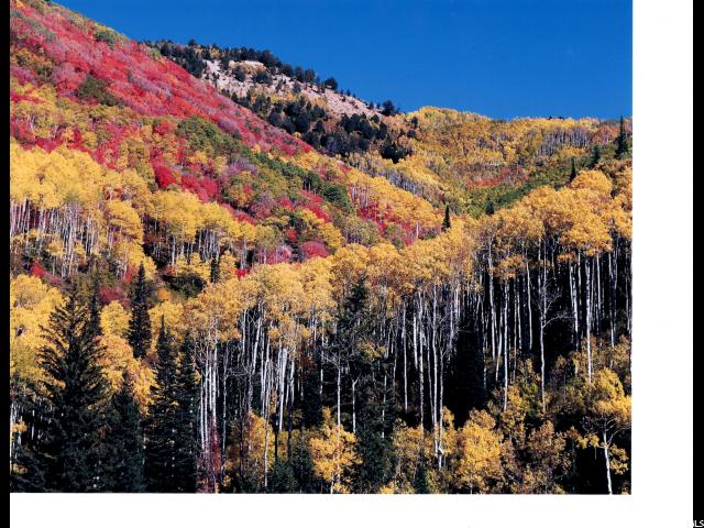 Fairview, UT 84629