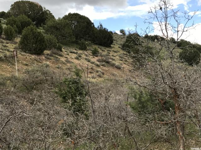 1600 S 1000 E, Fillmore, UT 84631