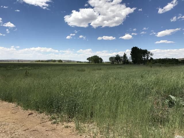 300 W 600 N, Fillmore, UT 84631