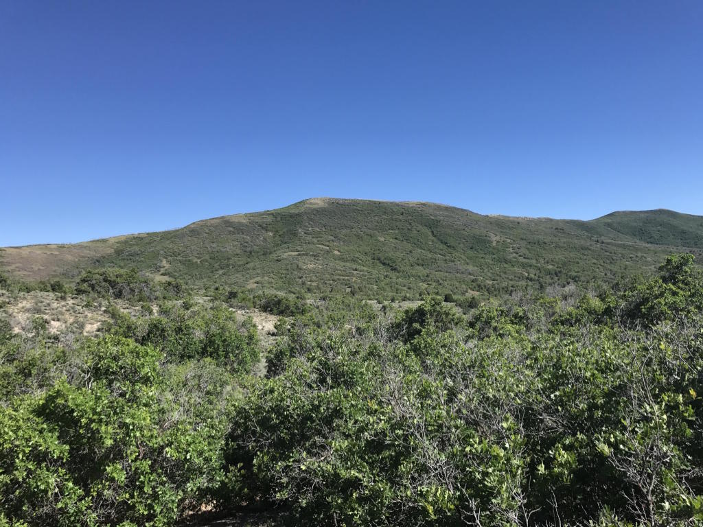 E 1/2 Lot 13 Unit 2 Mount Baldy, Fountain Green, UT 84632