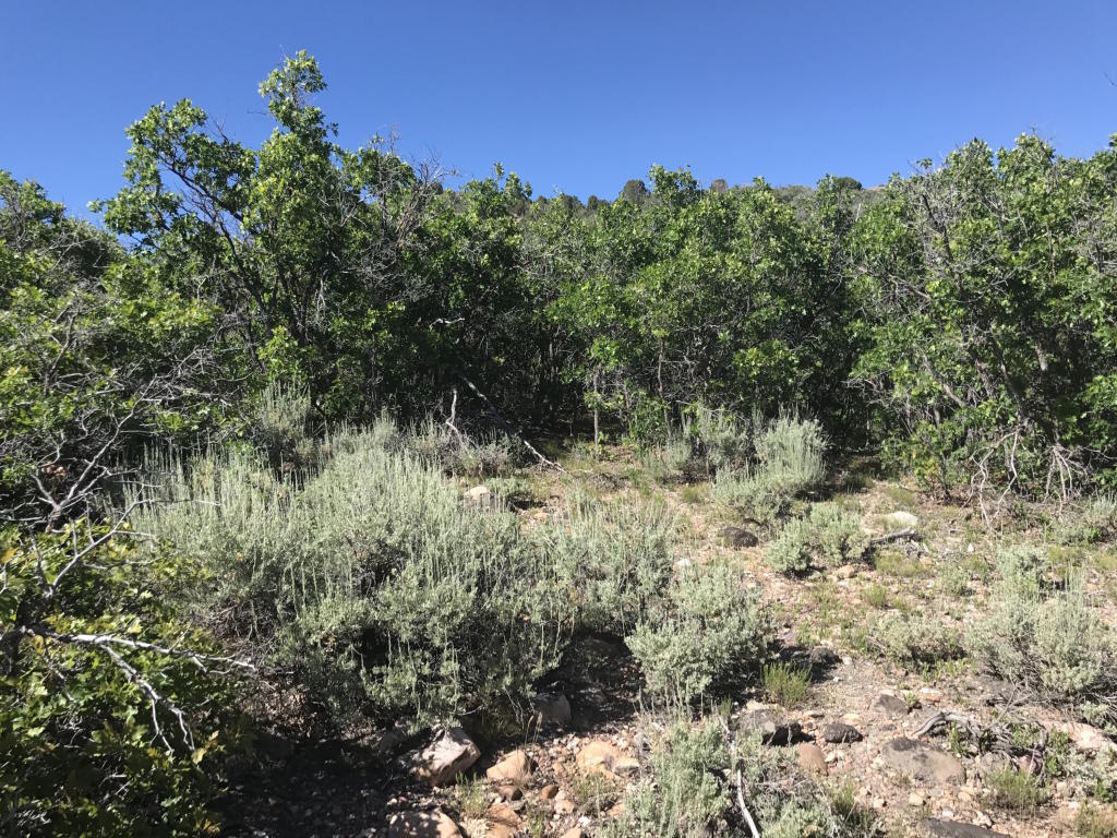 E 1/2 Lot 13 Unit 2 Mount Baldy, Fountain Green, UT 84632