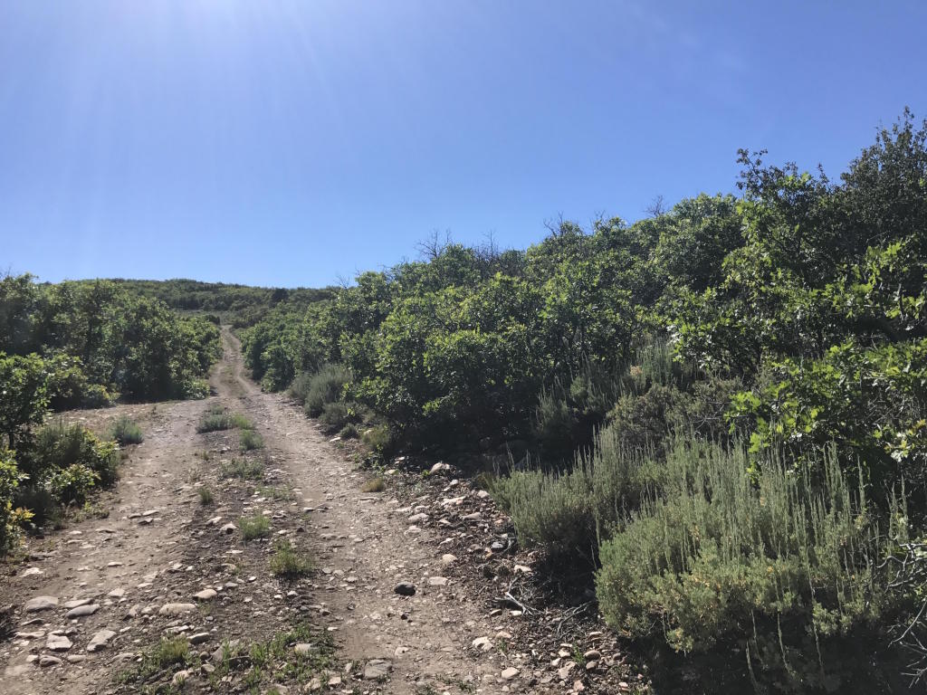 E 1/2 Lot 13 Unit 2 Mount Baldy, Fountain Green, UT 84632