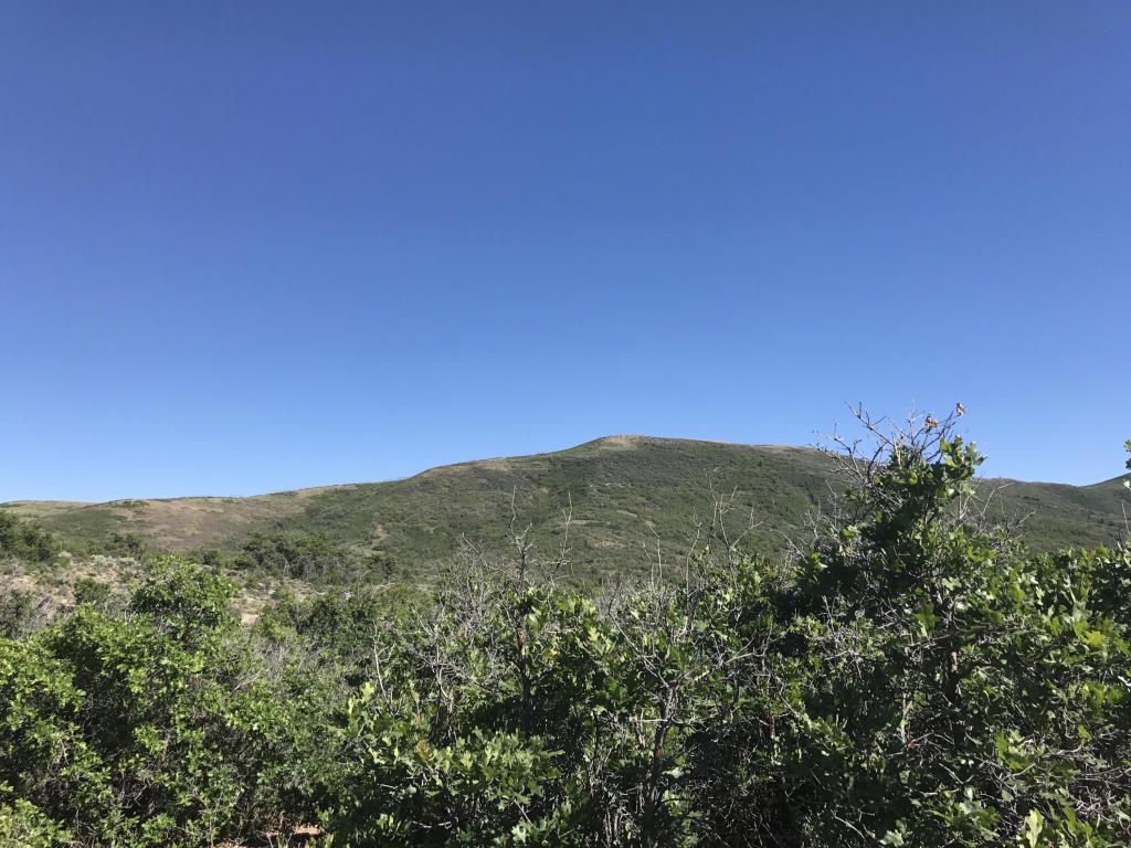E 1/2 Lot 13 Unit 2 Mount Baldy, Fountain Green, UT 84632