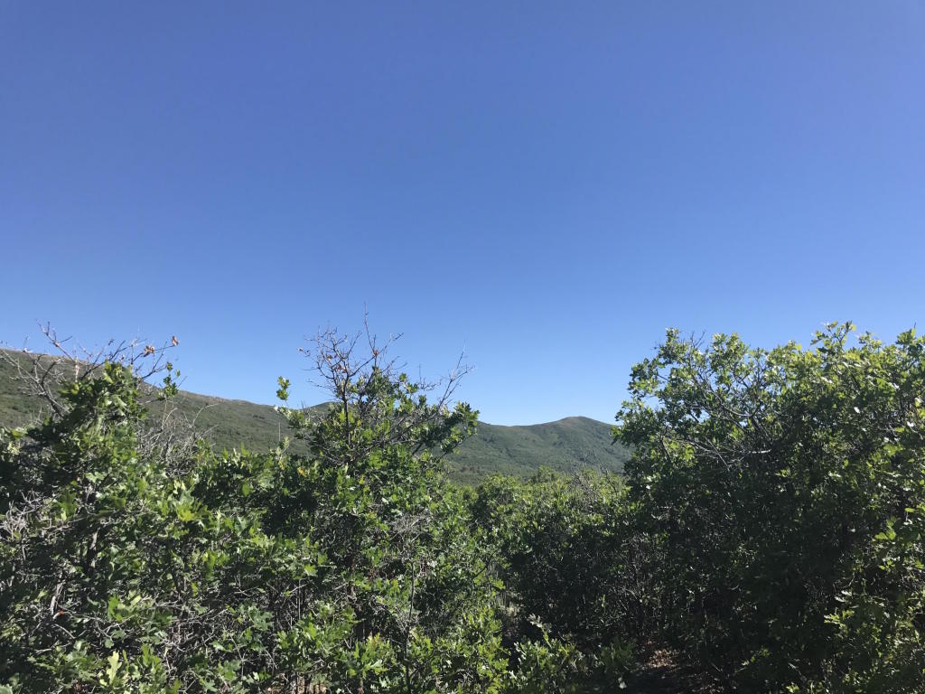 E 1/2 Lot 13 Unit 2 Mount Baldy, Fountain Green, UT 84632