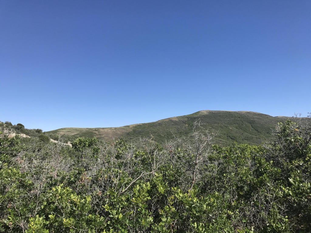 Lot 4 Unit No. 2 Mount Baldy, Fountain Green, UT 84632