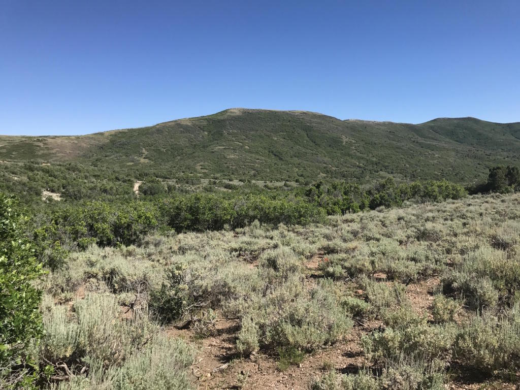Lot 4 Unit No. 2 Mount Baldy, Fountain Green, UT 84632