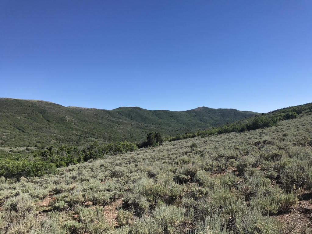 Lot 4 Unit No. 2 Mount Baldy, Fountain Green, UT 84632