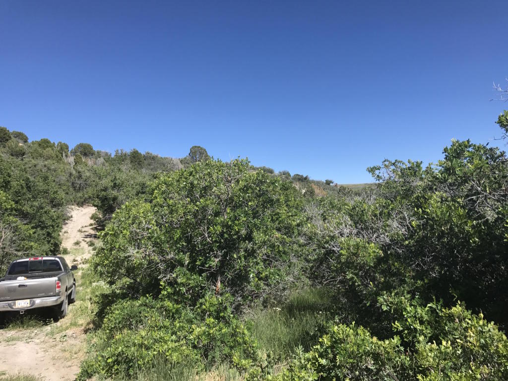 Lot 4 Unit No. 2 Mount Baldy, Fountain Green, UT 84632