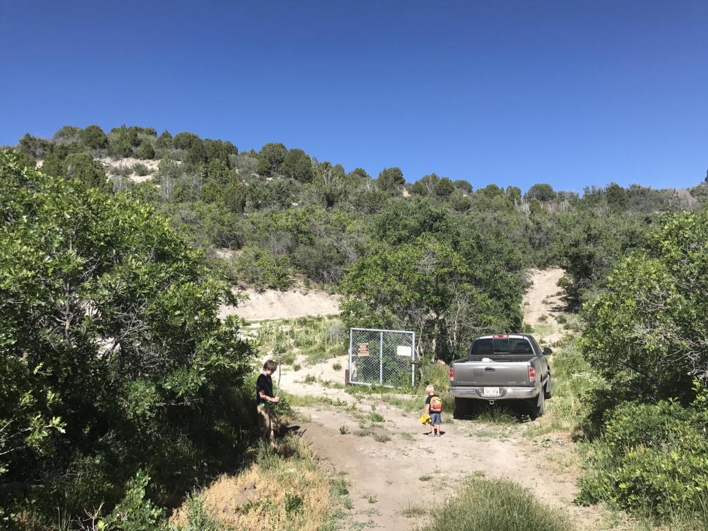 Lot 4 Unit No. 2 Mount Baldy, Fountain Green, UT 84632