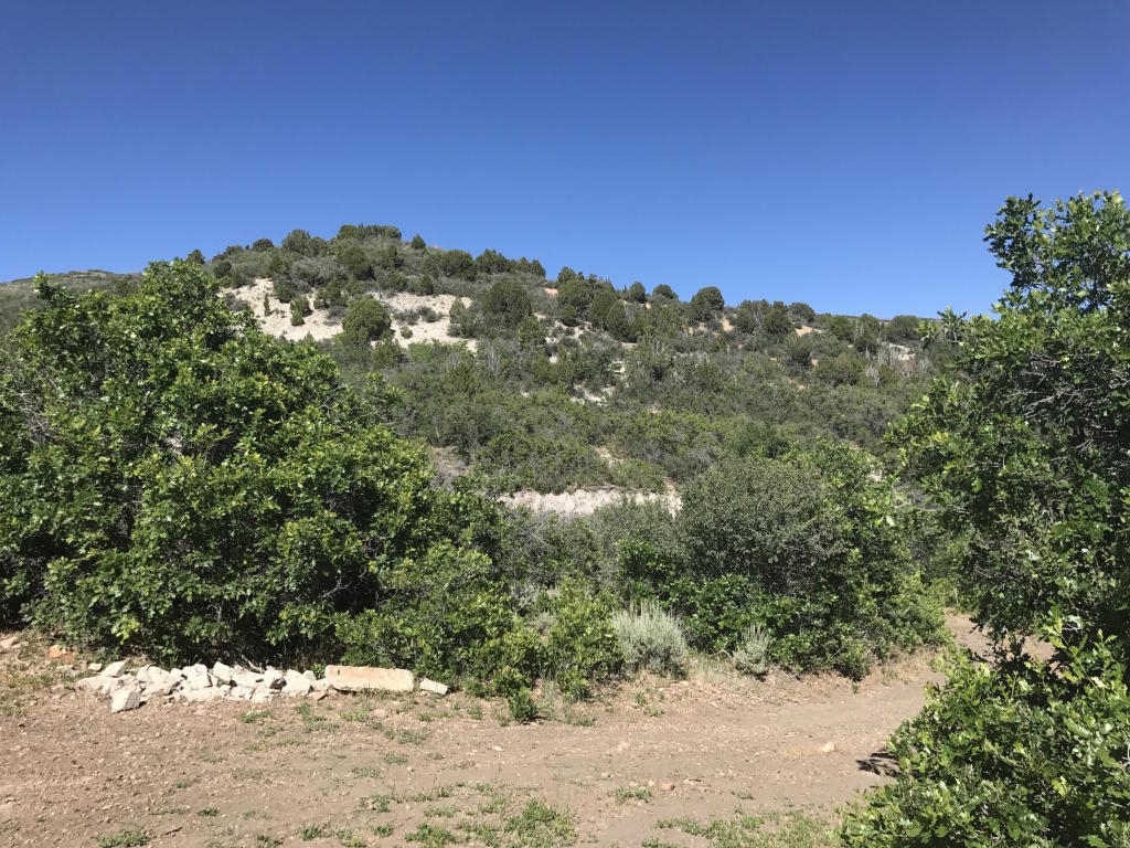 Lot 4 Unit No. 2 Mount Baldy, Fountain Green, UT 84632