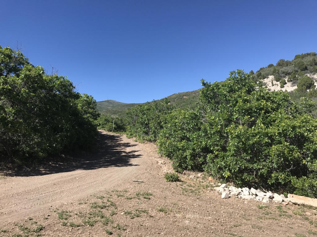 Lot 4 Unit No. 2 Mount Baldy, Fountain Green, UT 84632
