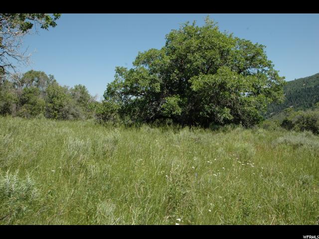 11540 N 11425 E, Mount Pleasant, UT 84647