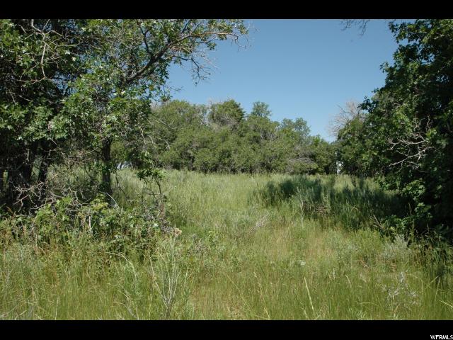11540 N 11425 E, Mount Pleasant, UT 84647