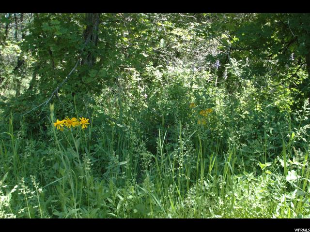 11540 N 11425 E, Mount Pleasant, UT 84647