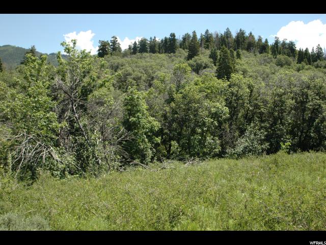 11540 N 11425 E, Mount Pleasant, UT 84647