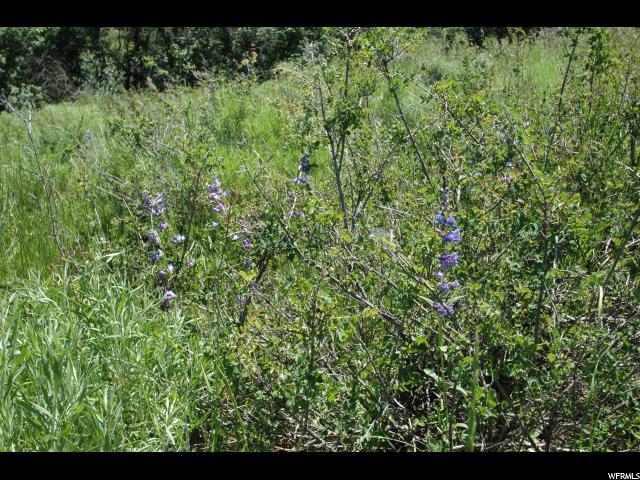 11540 N 11425 E, Mount Pleasant, UT 84647