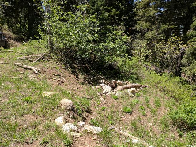 Mount Pleasant, UT 84647