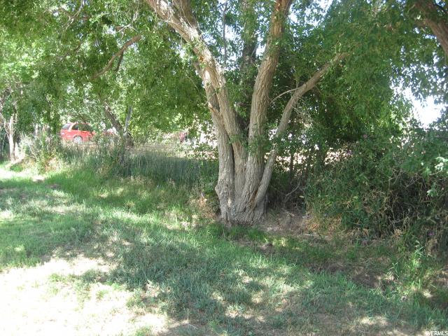 25 W 200 N, Oak City, UT 84649