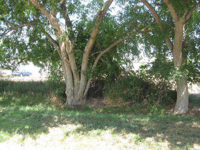 25 W 200 N, Oak City, UT 84649