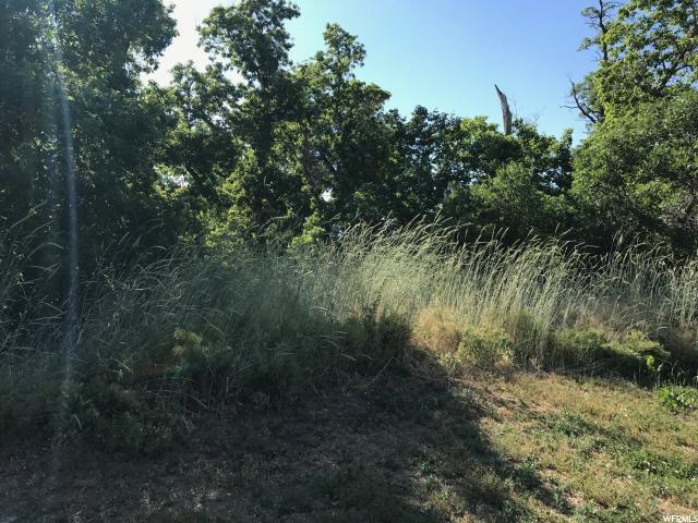 550 S 200 E, Payson, UT 84651