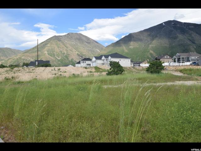 1087 S 850 E, Salem, UT 84653