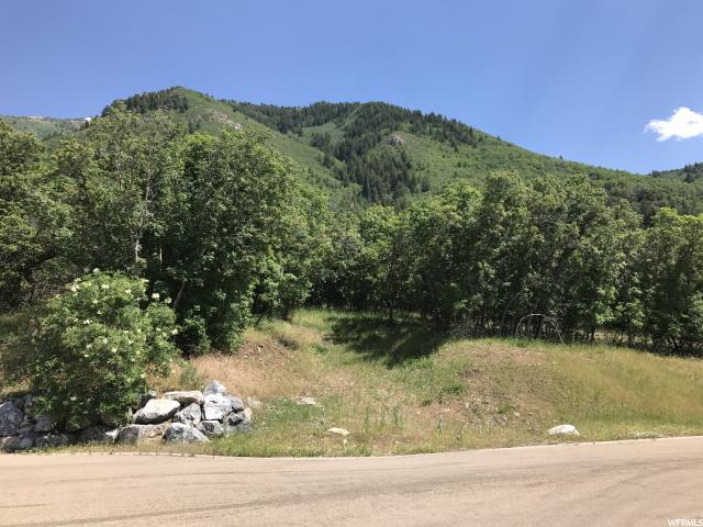 1040 S PINEVIEW DR, Woodland Hills, UT 84653