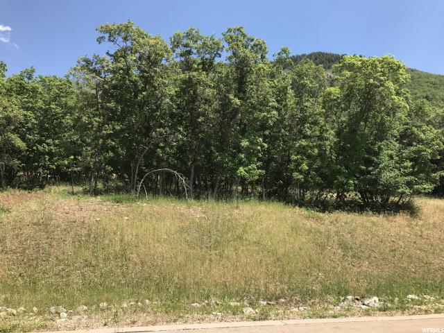 1040 S PINEVIEW DR, Woodland Hills, UT 84653