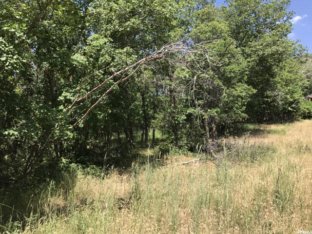 1040 S PINEVIEW DR, Woodland Hills, UT 84653