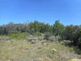 Lot 101 Accord Lake, Salina, UT 84654