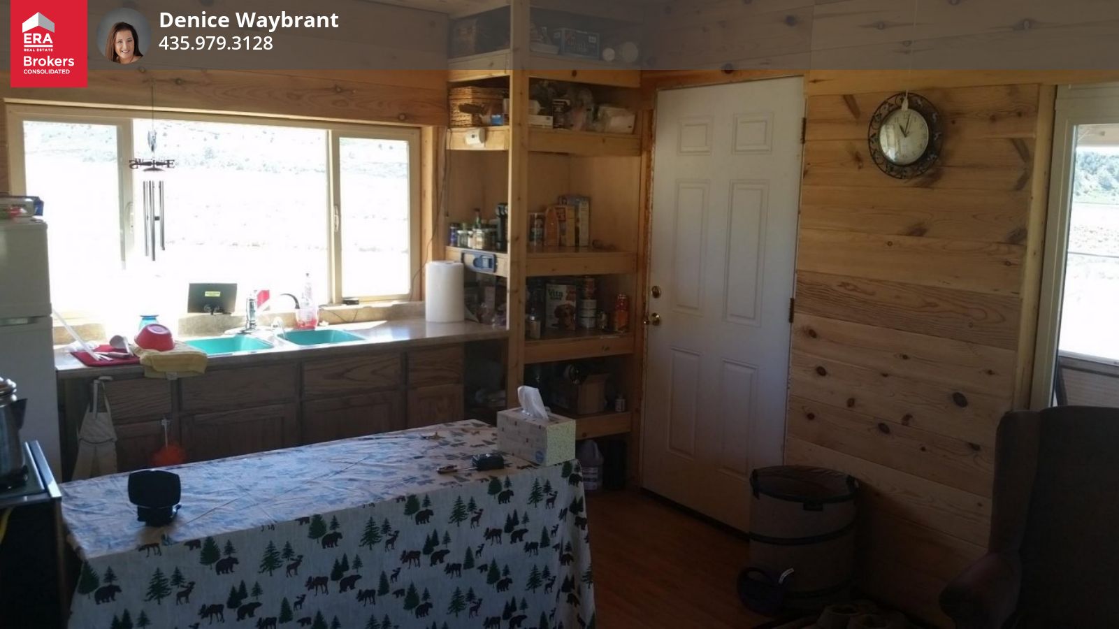 348 N Mountain View Rd, Salina, UT 84654