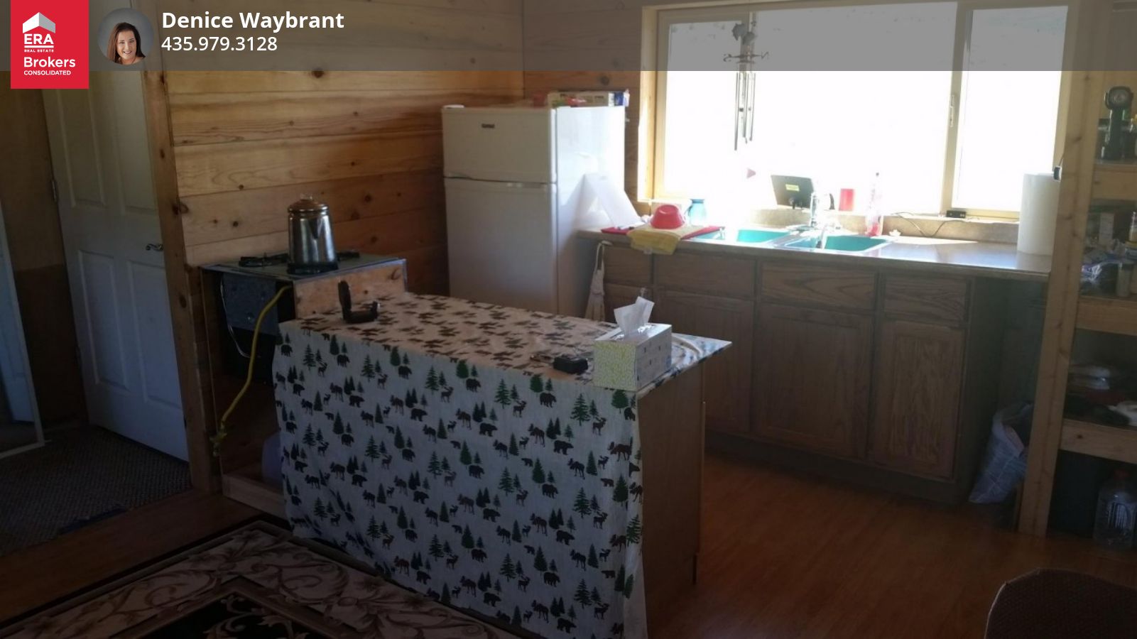 348 N Mountain View Rd, Salina, UT 84654