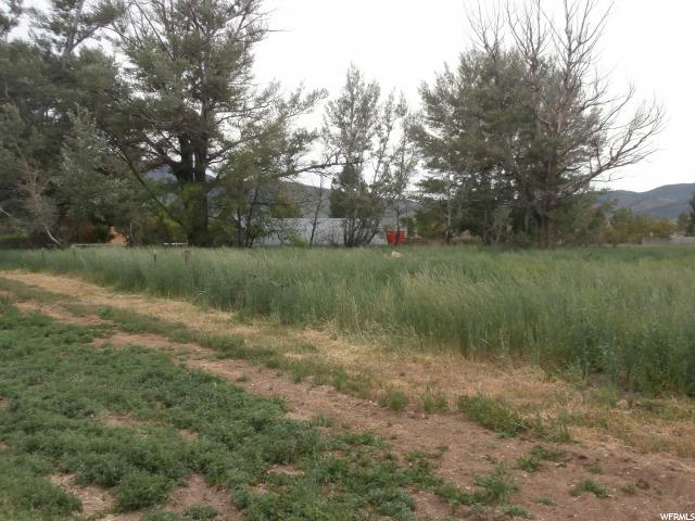 Scipio, UT 84656