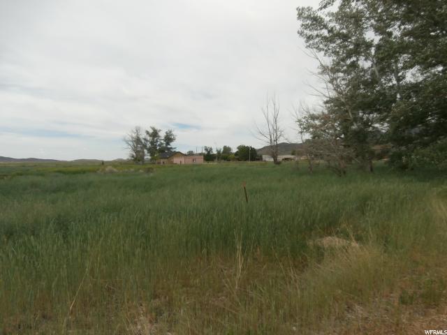 Scipio, UT 84656