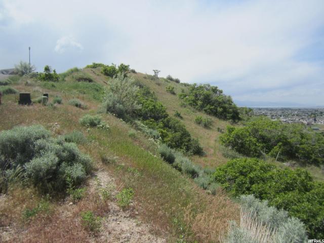 3256 E HAWK DR, Spanish Fork, UT 84660