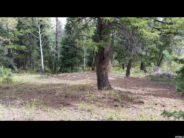 Spanish Fork, UT 84660