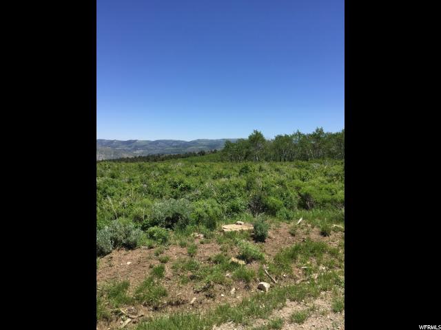 22596 E Snowbird Dr, Spanish Fork, UT 84660