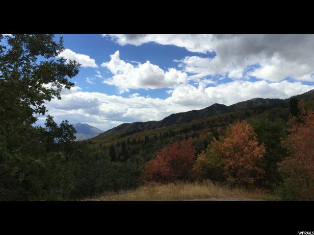 162 N E. UPPER OAKWOOD DR E, Springville, UT 84663